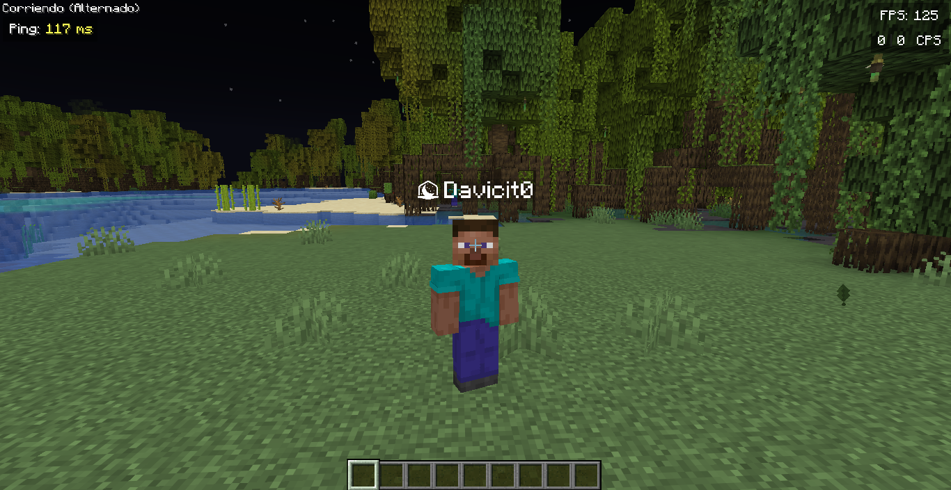 Davicit0 en Minecraft